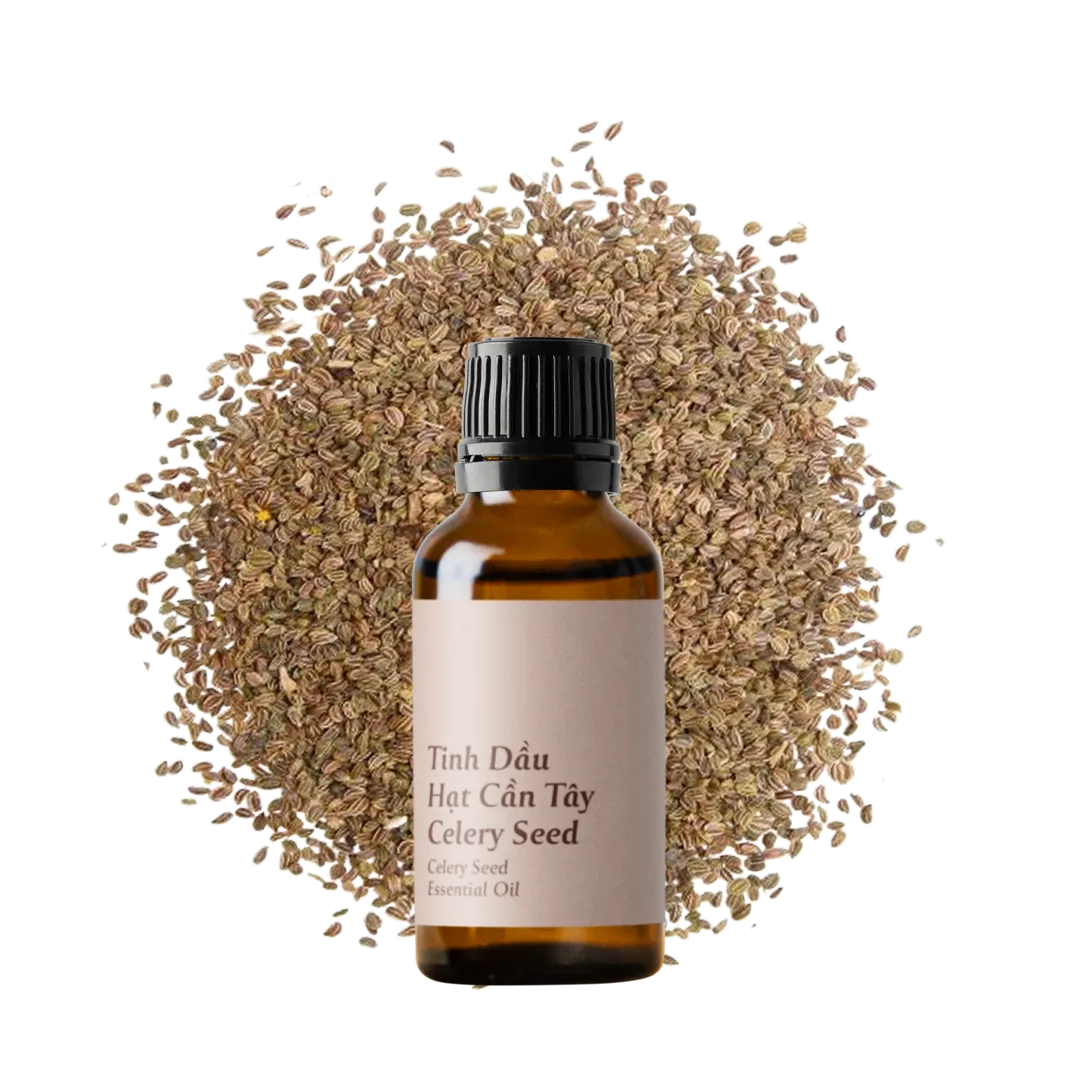 Celery Seed Essential Oil