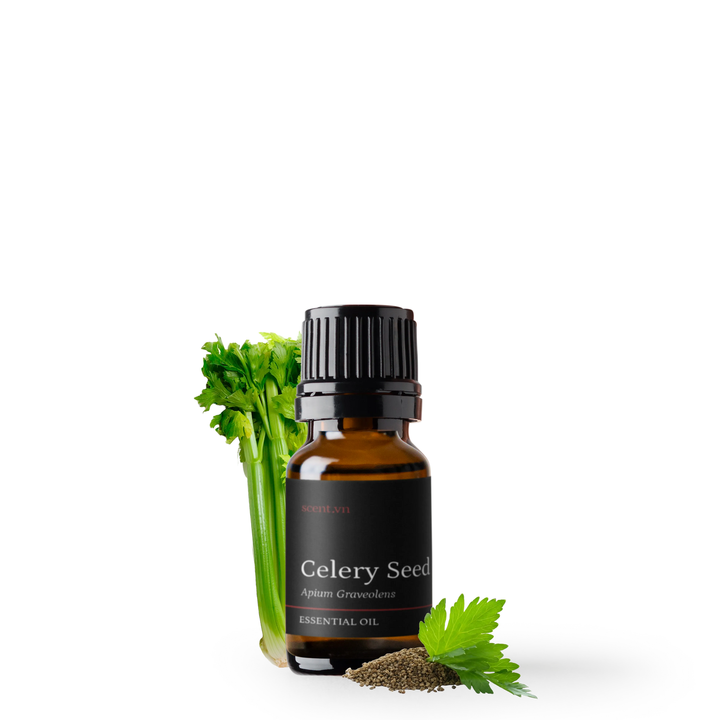 Tinh dầu Hạt Cần Tây - Celery Seed