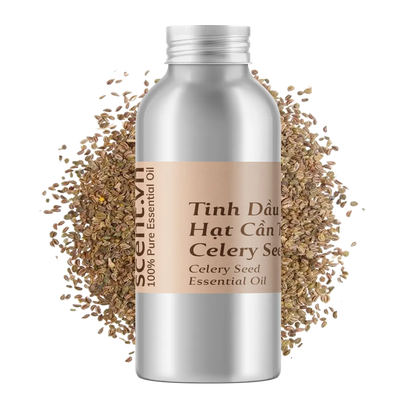 Tinh dầu Hạt Cần Tây - Celery Seed