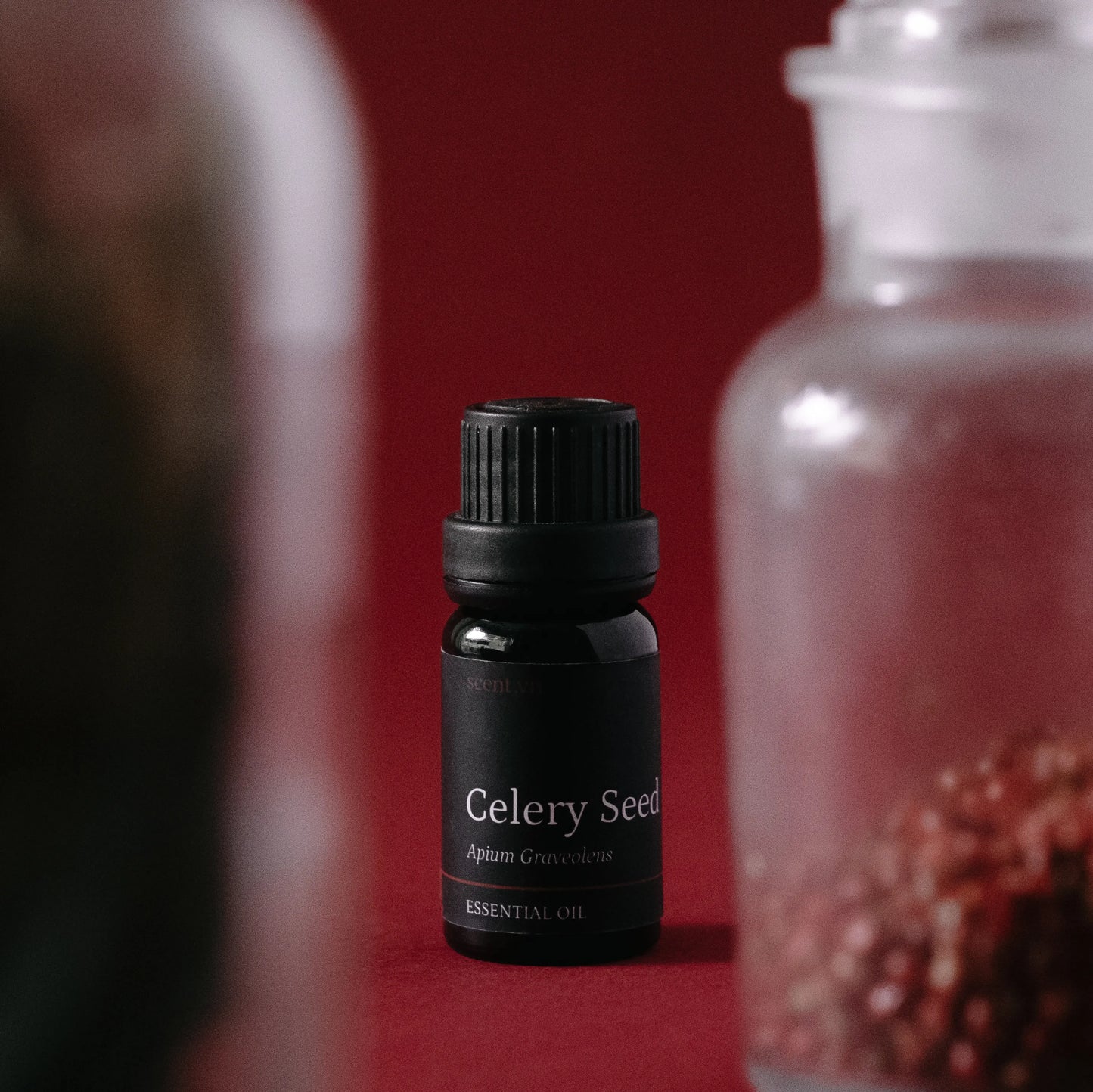 Tinh dầu Hạt Cần Tây - Celery Seed