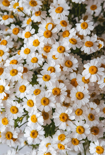 Isopentyrate aka. Chamomile Isobutyrate Aroma Chemical CAS# 80118-06-5