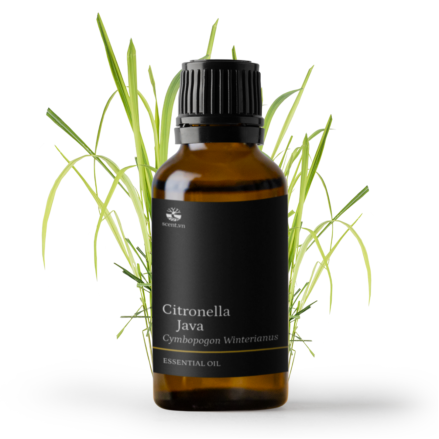 Citronella Essential Oil