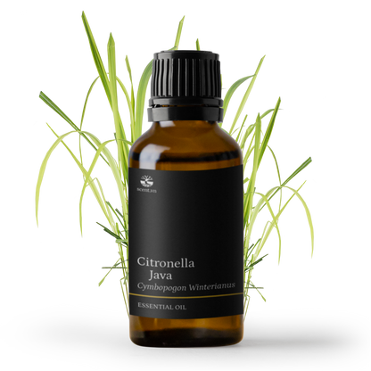 Citronella Essential Oil