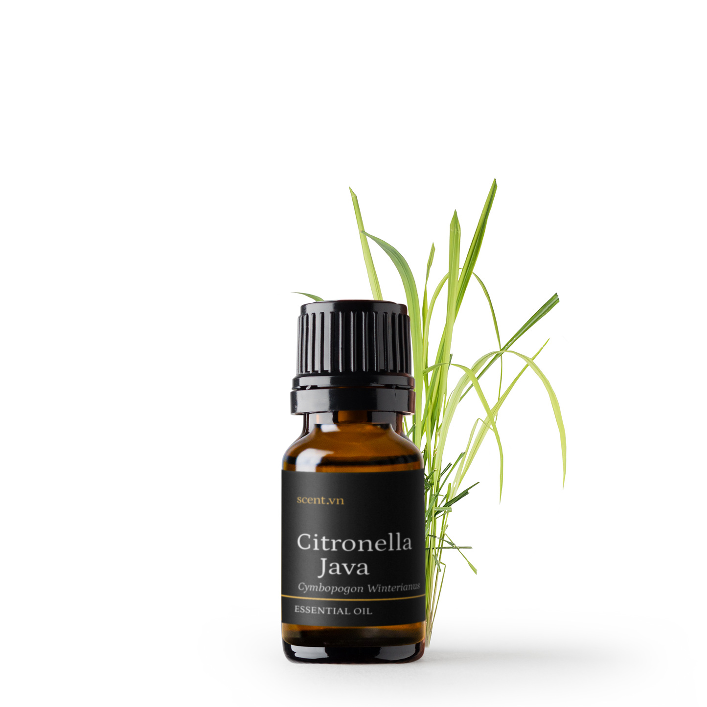 Citronella Essential Oil