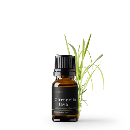 Citronella Essential Oil