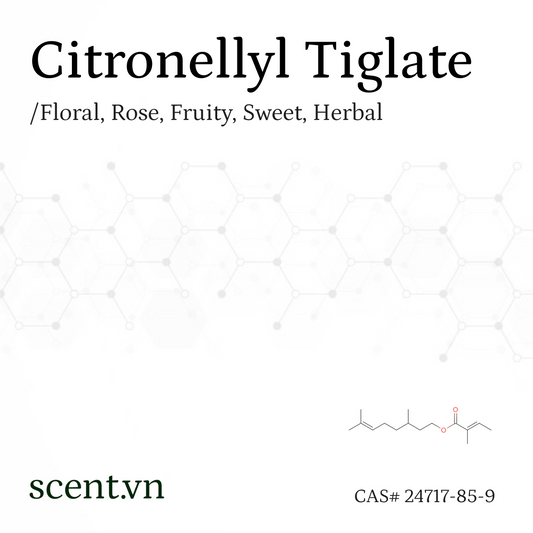 Chất thơm Citronellyl Tiglate CAS# 24717-85-9