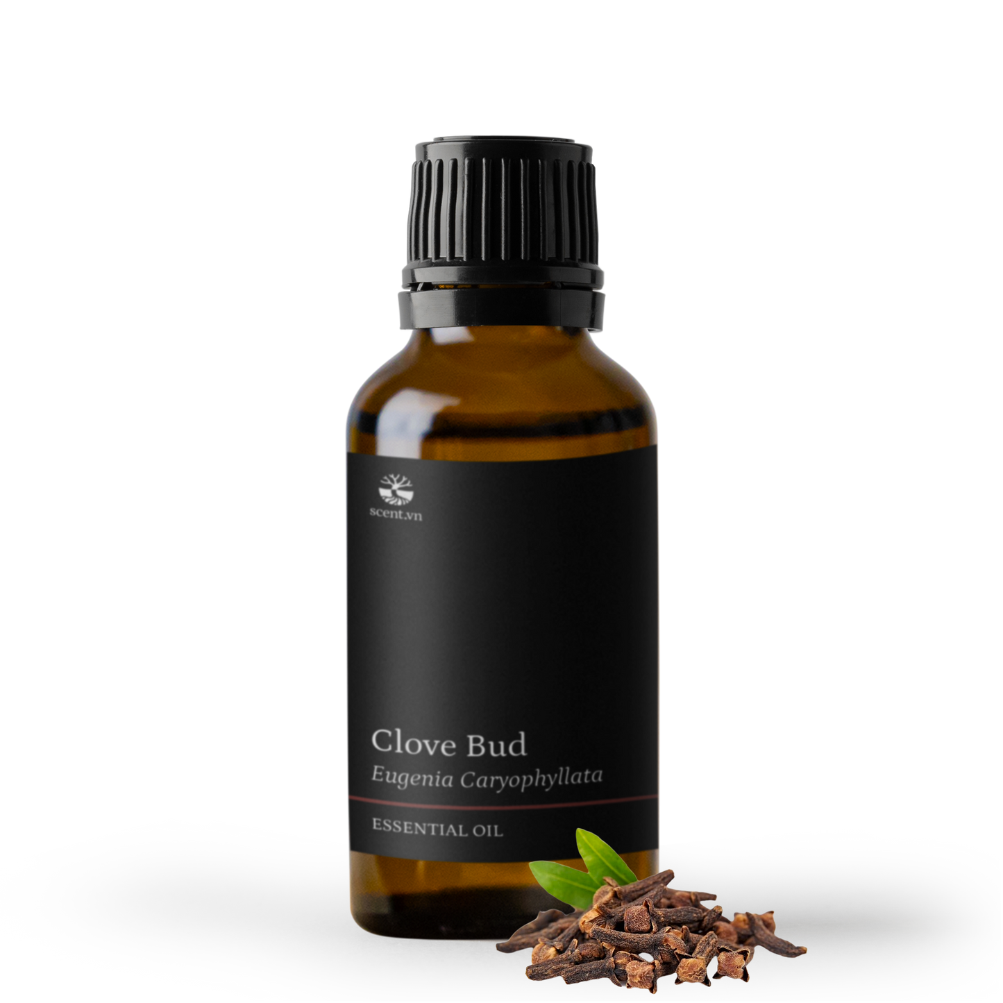 Clove Bud Essential Oil