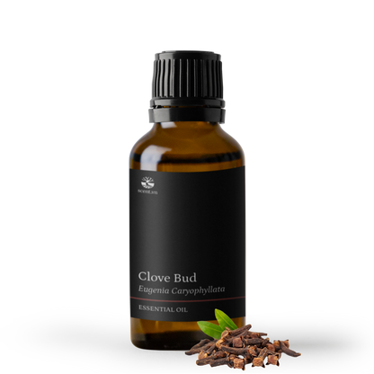 Clove Bud Essential Oil