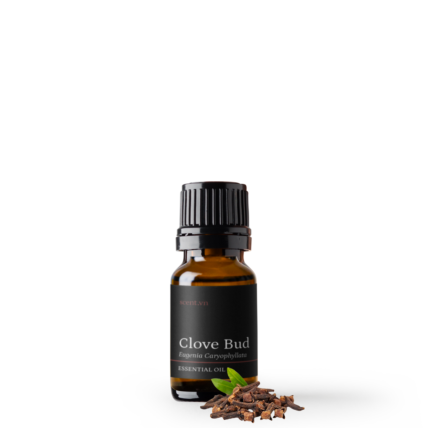 Clove Bud Essential Oil