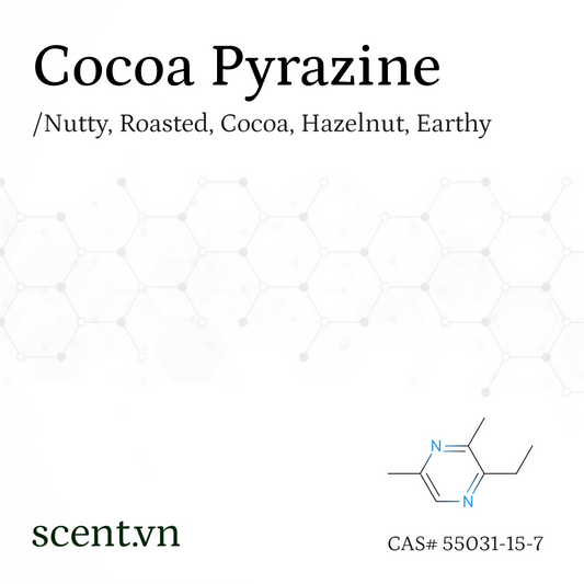 Cocoa Pyrazine Aroma Chemical CAS# 55031-15-7 / 13925-07-0