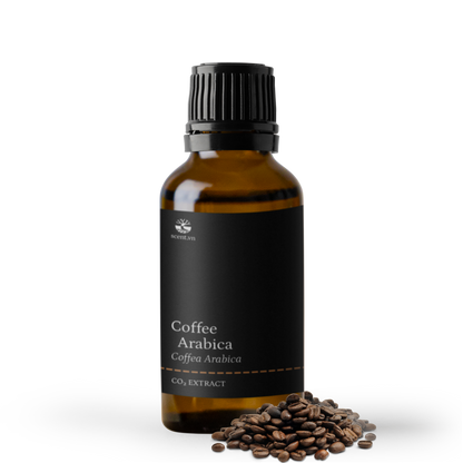 Tinh dầu Cà Phê Arabica CO₂ - Arabica Coffee