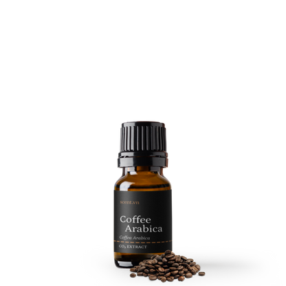 Tinh dầu Cà Phê Arabica CO₂ - Arabica Coffee