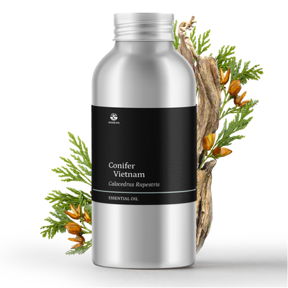 Tinh dầu Bách Xanh - Green Cypress