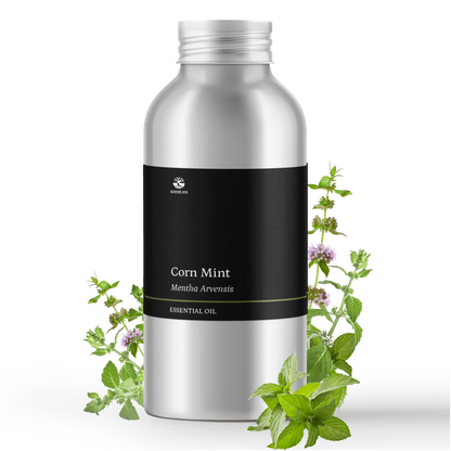 Cornmint Essential Oil