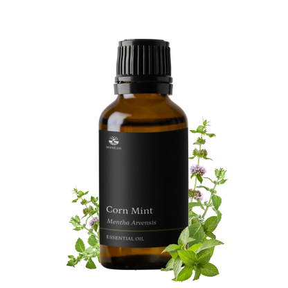 Cornmint Essential Oil
