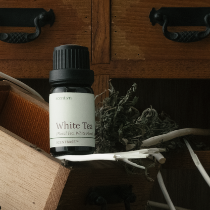 Hợp hương Trà Trắng - White Tea