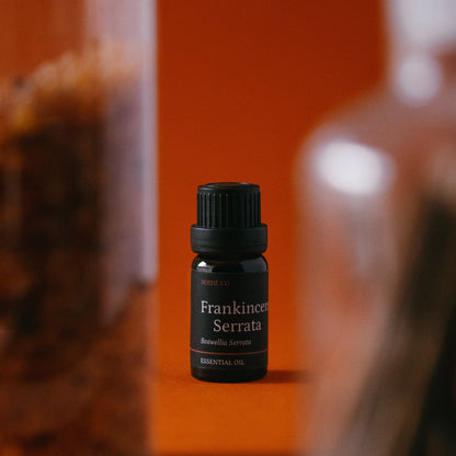 Tinh dầu Nhũ Hương - Frankincense Serrata