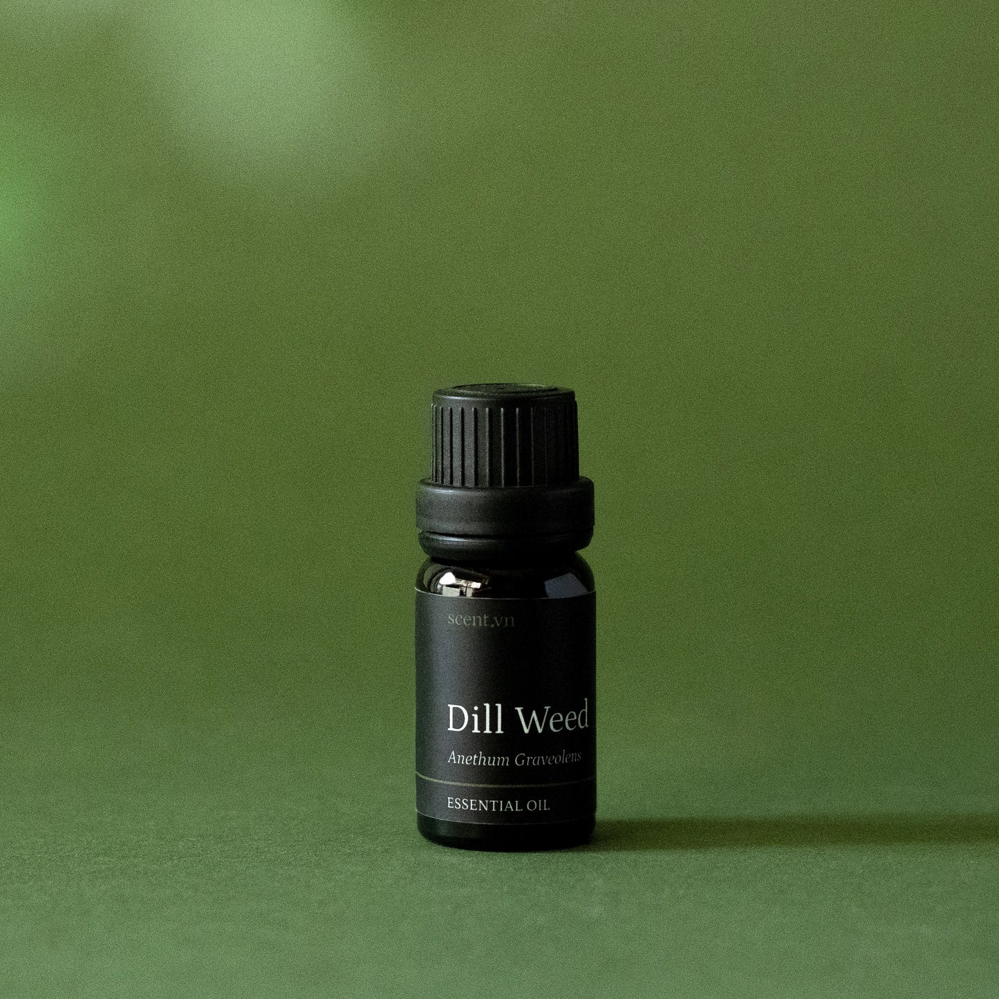 Dill Weed Essential Oil