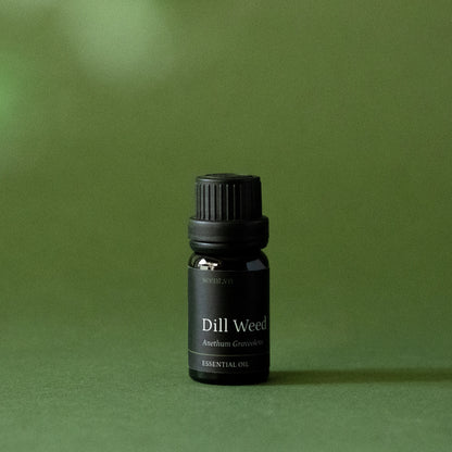Dill Weed Essential Oil