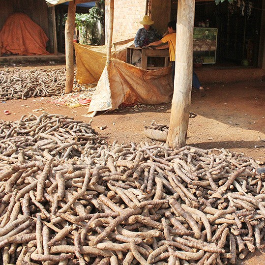 Tinh dầu Thiên Niên Kiện - Flat Moon