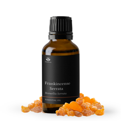 Tinh dầu Nhũ Hương - Frankincense Serrata