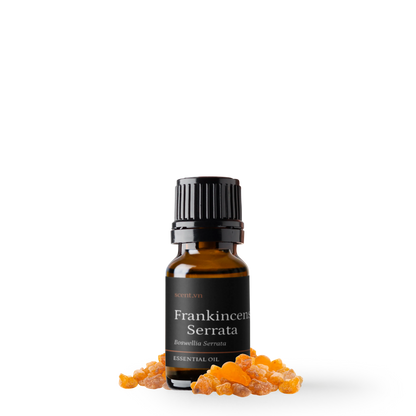 Tinh dầu Nhũ Hương - Frankincense Serrata