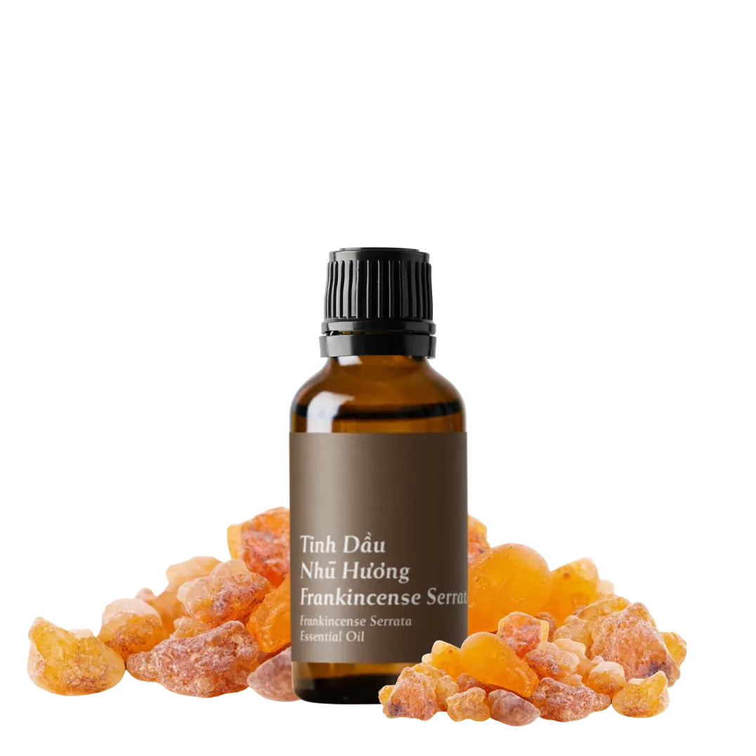 Tinh dầu Nhũ Hương - Frankincense Serrata