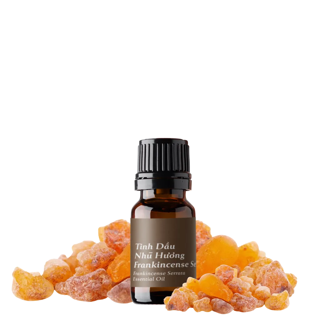 Tinh dầu Nhũ Hương - Frankincense Serrata