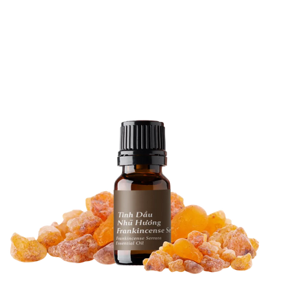 Tinh dầu Nhũ Hương - Frankincense Serrata