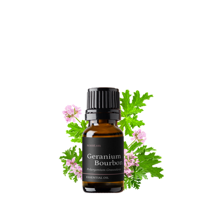 Tinh dầu Phong Lữ - Geranium Bourbon