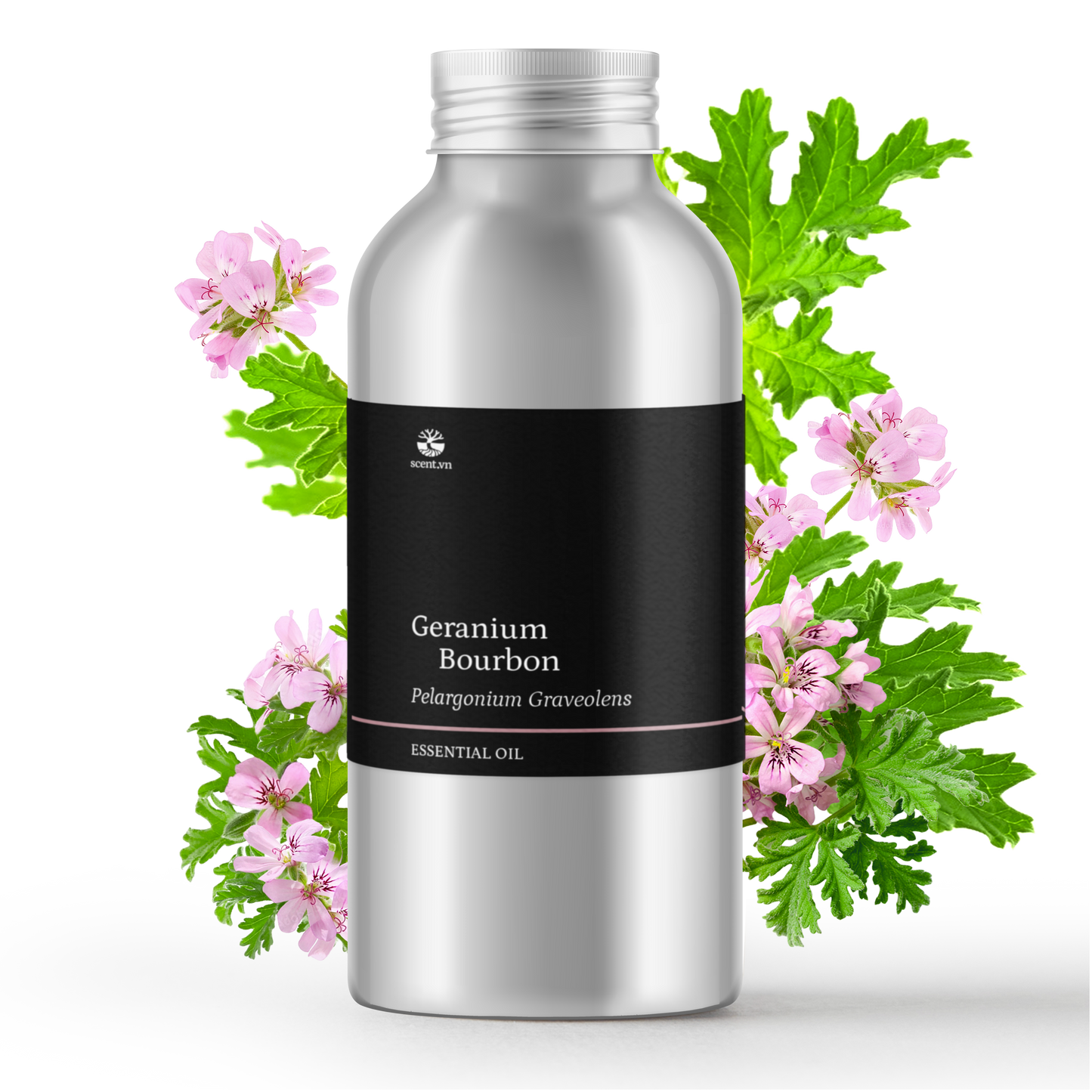 Tinh dầu Phong Lữ - Geranium Bourbon