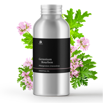 Tinh dầu Phong Lữ - Geranium Bourbon