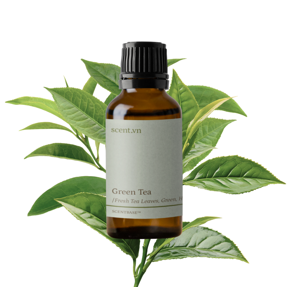 Hợp hương Trà Xanh - Green Tea