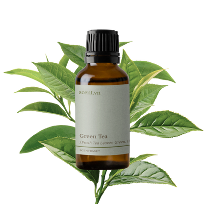 Hợp hương Trà Xanh - Green Tea