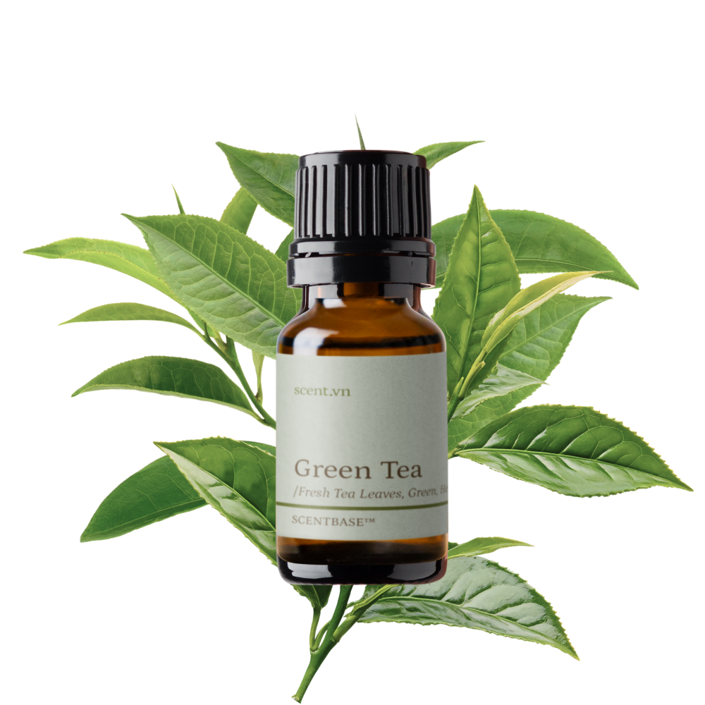 Hợp hương Trà Xanh - Green Tea