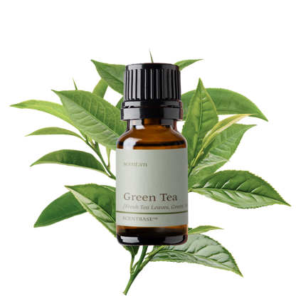 Hợp hương Trà Xanh - Green Tea