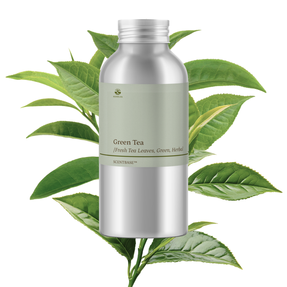 Hợp hương Trà Xanh - Green Tea
