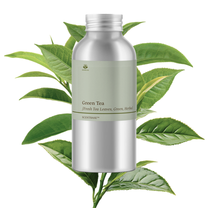 Hợp hương Trà Xanh - Green Tea