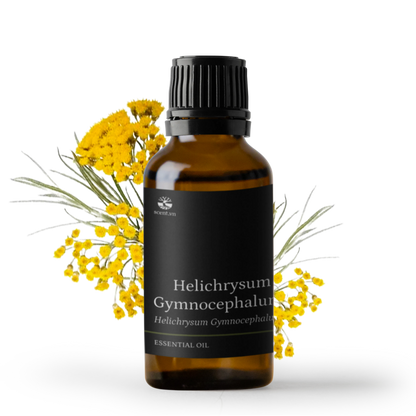 Tinh dầu Cúc Bất Tử - Helichrysum Gymnocephalum