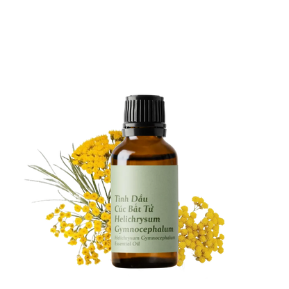 Tinh dầu Cúc Bất Tử - Helichrysum Gymnocephalum