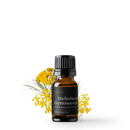 Tinh dầu Cúc Bất Tử - Helichrysum Gymnocephalum