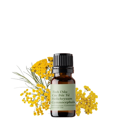 Tinh dầu Cúc Bất Tử - Helichrysum Gymnocephalum