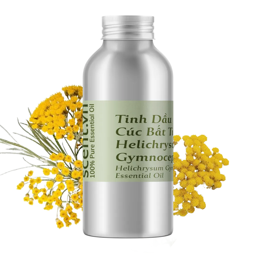 Tinh dầu Cúc Bất Tử - Helichrysum Gymnocephalum