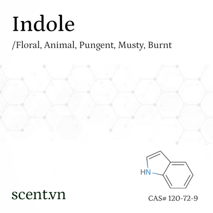 Indole Aroma Chemical CAS# 120-72-9