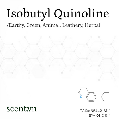 Chất thơm Isobutyl Quinoline aka. Butyl Quinoline Secondary CAS# 67634-06-4 / 65442-31-1