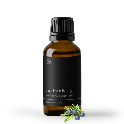 Tinh dầu Quả Bách Xù - Juniper Berry