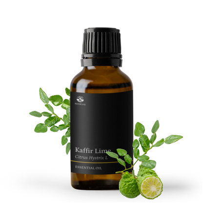Tinh dầu Chanh Thái - Kaffir Lime
