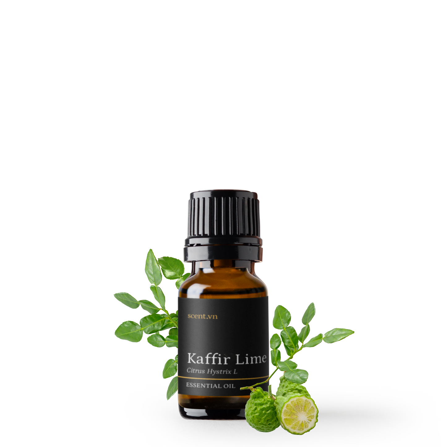 Tinh dầu Chanh Thái - Kaffir Lime