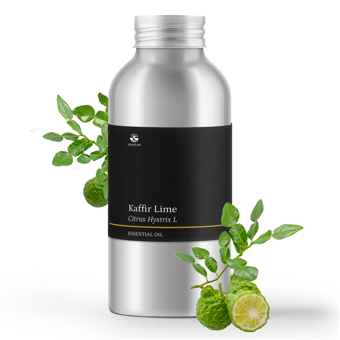 Tinh dầu Chanh Thái - Kaffir Lime