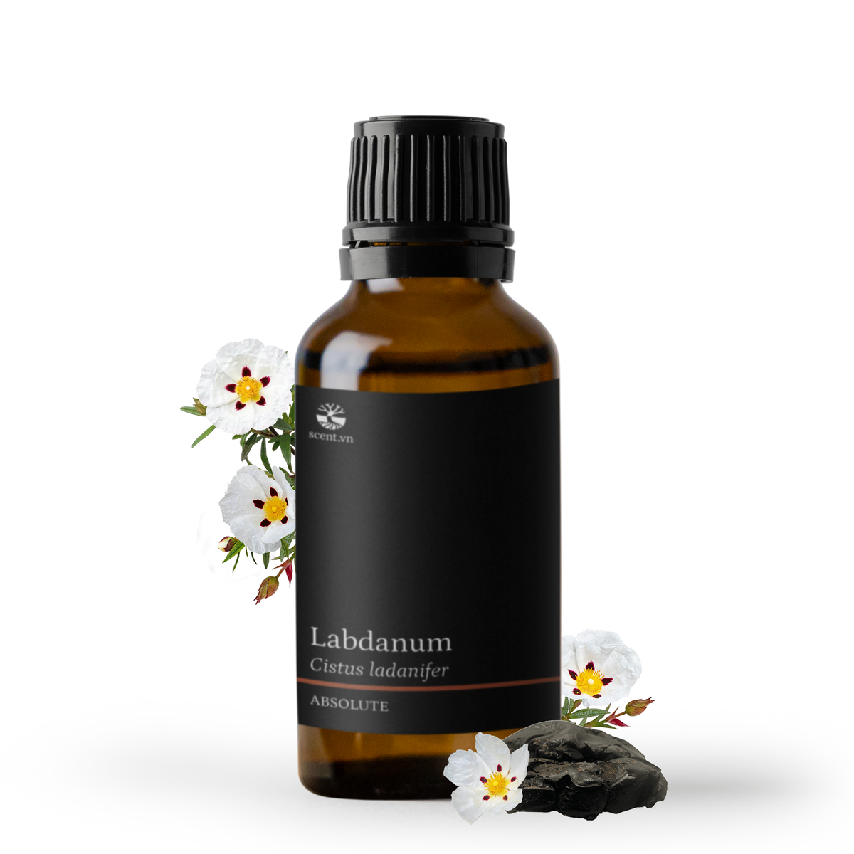 Labdanum Absolute